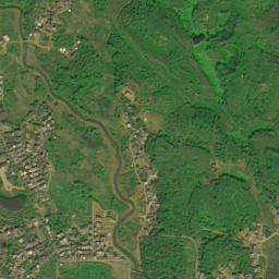 胜利农场卫星地图 - 广东省茂名市高州市胜利农场地图