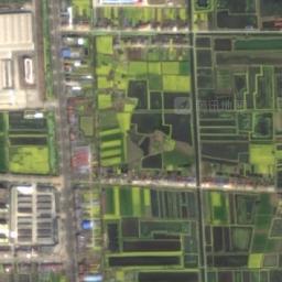 张金镇卫星地图 - 湖北省潜江市张金镇,村地图浏览