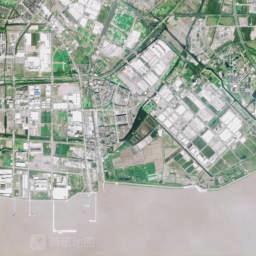 上海鲜花港景区卫星地图
